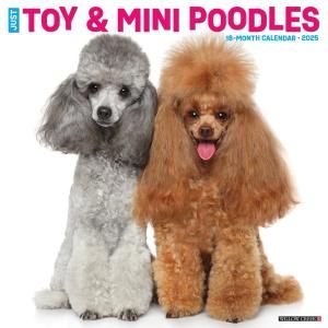 WillowCreekȥߥ˥奢סɥ  JUST Toy & Miniature Poodle