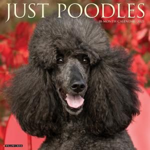 WillowCreekסɥ JUST POODLES
