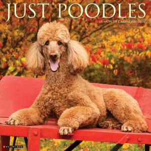 WillowCreekסɥ JUST POODLES