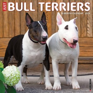 WillowCreek ֥ƥꥢ JUST BULL TERRIER