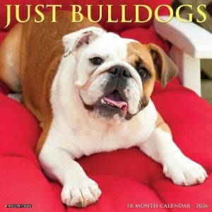 WillowCreek ֥ɥå JUST BULLDOGS