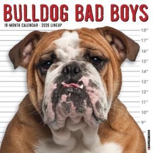 WillowCreekBad Boys֥ɥå 