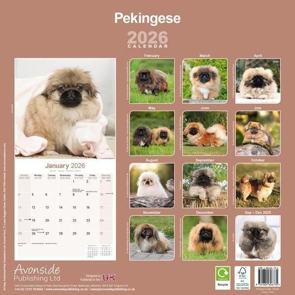 ペキニーズ書籍4冊セット 本 洋書 写真 pekingese PEKINGESE ペキニーズ書籍4冊セット 本 洋書 写真 pekingese PEKINGESE
