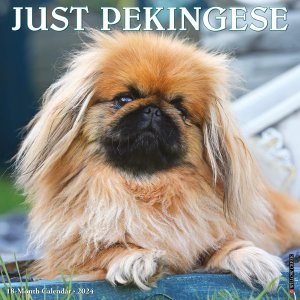 WillowCreekڥˡ  JUST PEKINGESE