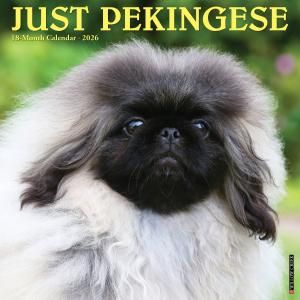 WillowCreekڥˡ  JUST PEKINGESE