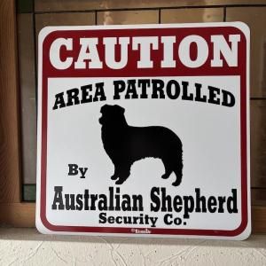 Caution ܡɡȥꥢ󥷥ѡ