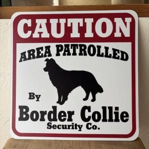 Caution ܡɡܡ꡼ Border Collie