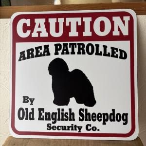 Caution ܡɡɥ󥰥å奷ץɥå