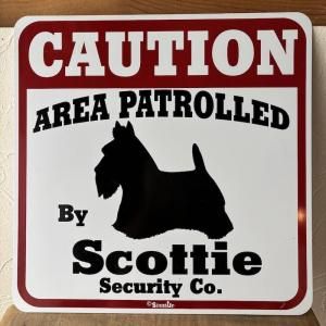 Caution ܡɡåƥ Scottie