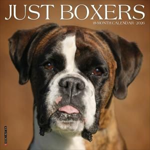 ボクサー - スマイルドッグ☆アメリカ直輸入犬用品専門店