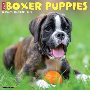 シュタイフ★Hand-Boxer 17cm★ボクサーのハンドパペット/ドッグ/犬 Amazon.co.jp: ボクシングドッグハンドパペット、ボクシング