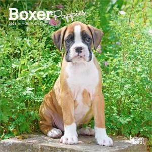 ボクサー - スマイルドッグ☆アメリカ直輸入犬用品専門店