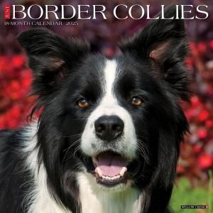 WillowCreekܡ꡼ JUST BORDER COLLIES