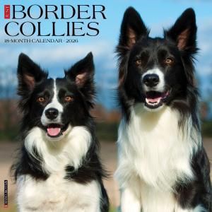 WillowCreekܡ꡼ JUST BORDER COLLIES
