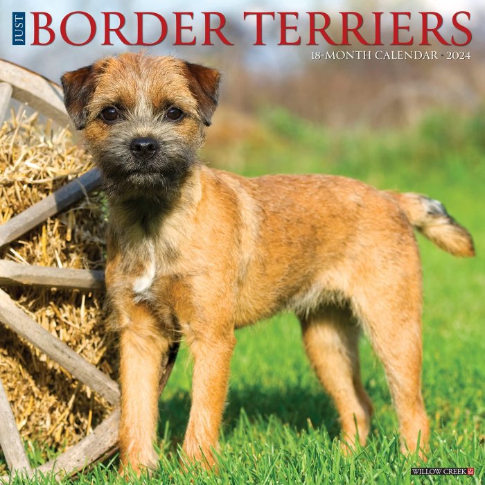 WillowCreek　ボーダーテリア カレンダー　JUST BORDER TERRIERS - スマイルドッグ★アメリカ直輸入犬用品専門店
