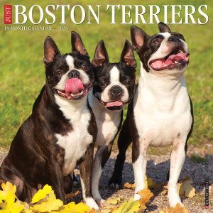 WillowCreekܥȥƥꥢ  JUST Boston terriers