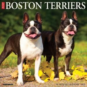 WillowCreekܥȥƥꥢ  JUST Boston terriers