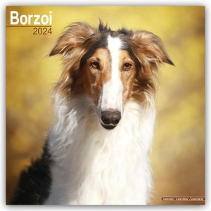 Avonside　ボルゾイ カレンダー　Borzoi