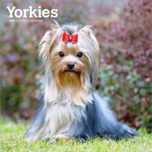 ヨークシャーテリア - スマイルドッグ☆アメリカ直輸入犬用品専門店