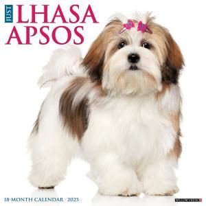 WillowCreek饵ץ  JUST Lhasa Apsos