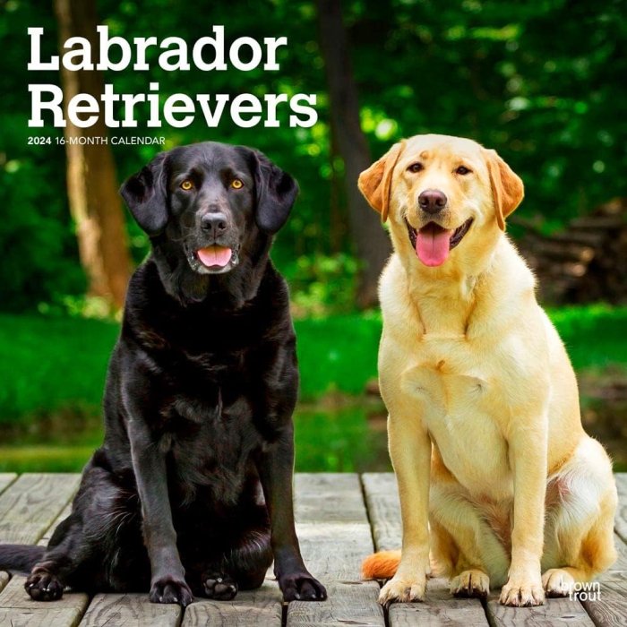 木製犬人形 Labrador Retriever ラブラドール・レトリバー - 置物