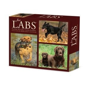 ᤯ꥫ֥ɡȥ꡼СJUST LABS