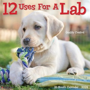 WillowCreek　12 uses for a Lab カレンダー