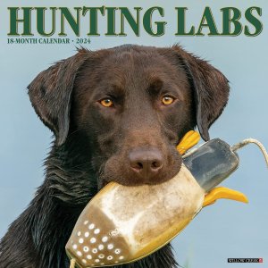 WillowCreekHunting Labs 