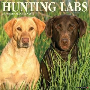 WillowCreekHunting Labs 