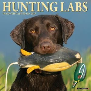 WillowCreekHunting Labs 