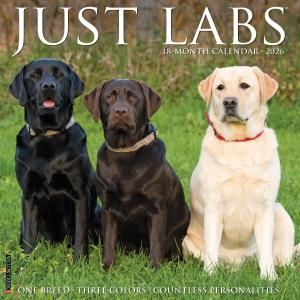 WillowCreek֥ɡȥ꡼С JUST LABS