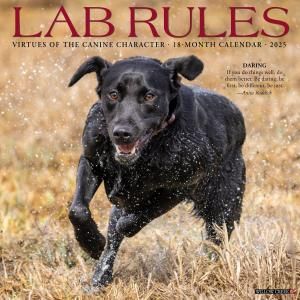 WillowCreekLab Rules ֥ɡ 