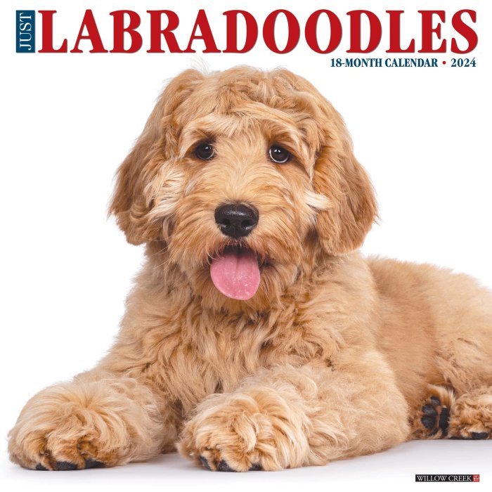 WillowCreek　ラブラドゥードゥル カレンダー - スマイルドッグ★アメリカ直輸入犬用品専門店