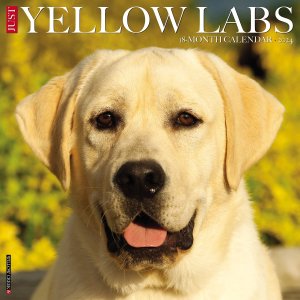 WillowCreek　イエローラブ カレンダー　JUST Yellow Labs