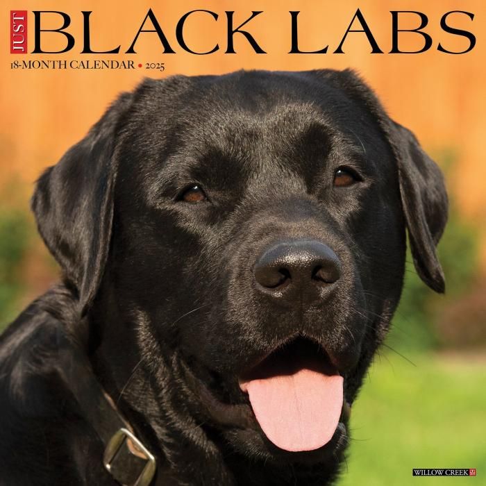 Willowcreek ブラックラブ スマイルドッグ アメリカ直輸入犬用品専門店 Willowcreek ブラックラブ スマイルドッグ アメリカ直輸入犬用品専門店