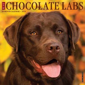 WillowCreek　チョコラブ カレンダー　JUST CHOCOLATE LABS