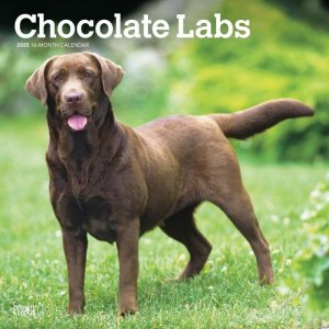 ラブラドールレトリーバー チョコレート スマイルドッグ アメリカ直輸入犬用品専門店 ラブラドールレトリーバー チョコレート スマイルドッグ アメリカ直輸入犬用品専門店