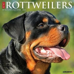 WillowCreekåȥ磻顼 JUST Rottweilers
