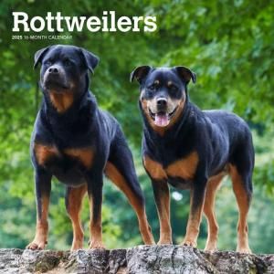 BrownTroutåȥ磻顼 Rottweilers