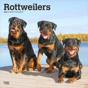 BrownTrout ロットワイラー カレンダー Rottweilers