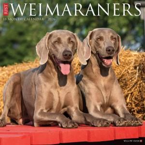 WillowCreek ワイマラナー カレンダー JUST Weimaraners