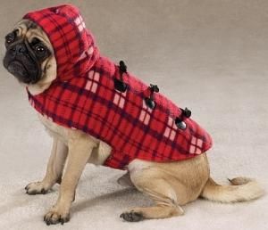 Yukon֥å㥱åȡS棲