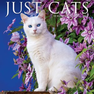 JUST CATS カレンダー Willow creek