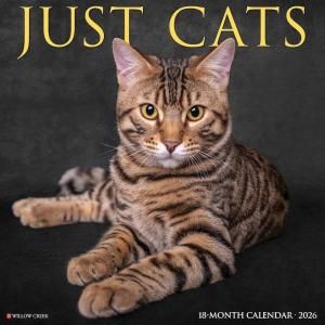 JUST CATS  Willow creek