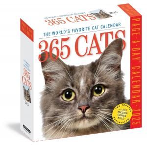 ᤯ꥫ365 Cats