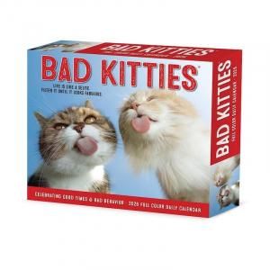 ǭ᤯ꥫBad Kittens -- Willow Creek