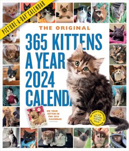 365 Kittens a year ᤯ꥫ