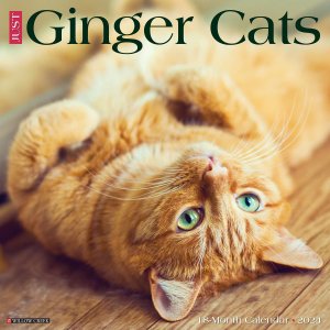 JUST Ginger Cats カレンダー Willowcreek