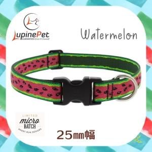 <img class='new_mark_img1' src='https://img.shop-pro.jp/img/new/icons53.gif' style='border:none;display:inline;margin:0px;padding:0px;width:auto;' /> 25mm LUPINE Watermelon