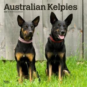 Brown trout ȥꥢ󥱥ԡ AUSTRALIAN KELPIES